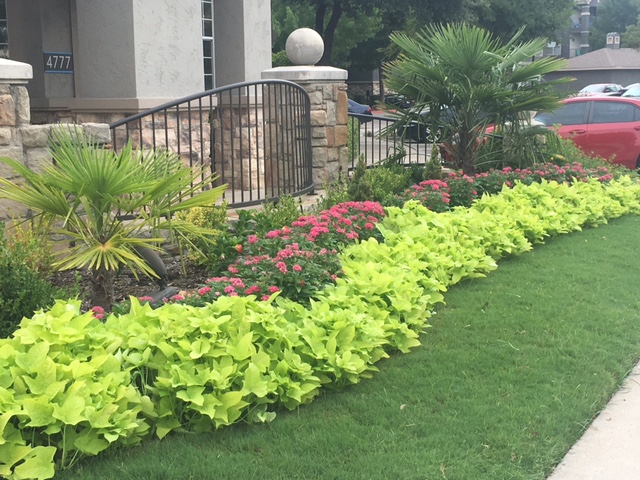 Landscaping Services